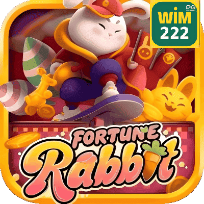 Figura 3 do login da WIM222